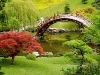 japanischer-garten-by-randy-son-of-robert.jpg