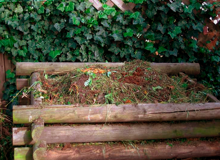 komposthaufen-wikipedia-mussklprozz.jpg