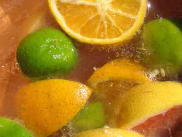 Citruspflanzen © flickr / eye of einstein