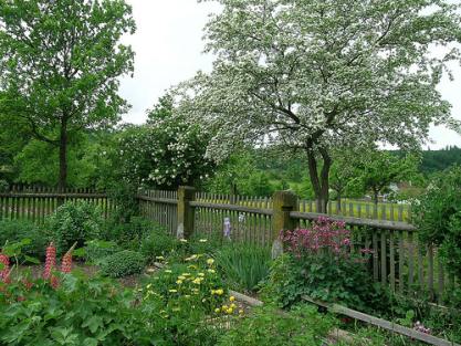 Bauerngarten © Flickr /frauelster