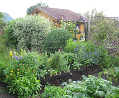 Gemüsegarten © Flickr by variationen