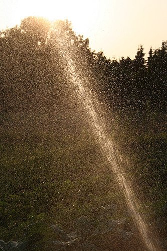 Rasensprenger © Flickr by senfgurke