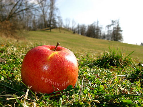 Roter Apfel © Flickr by epSos.de
