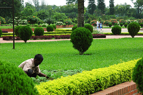 Gartenarbeiten Wonderlane©Flickr