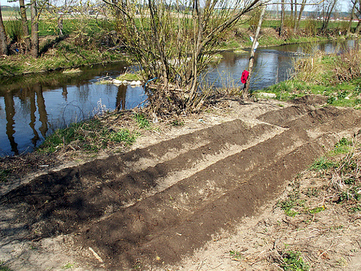 kartoffelanbau