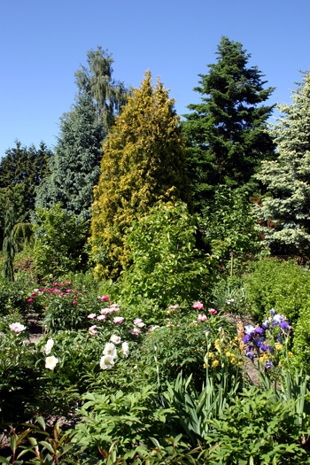 botgart-christiansberg-16-06-2010