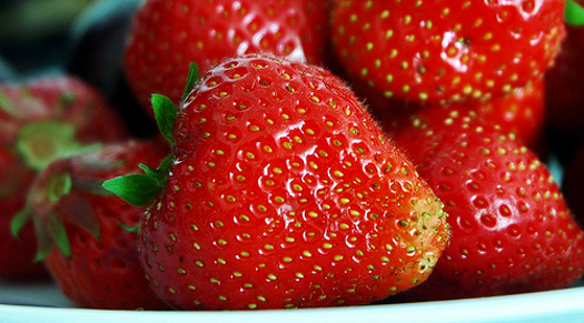 erdbeere