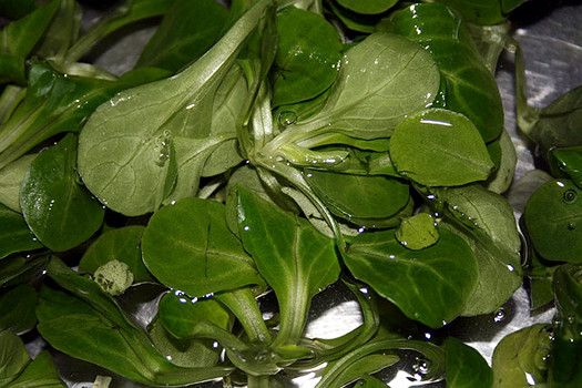salat