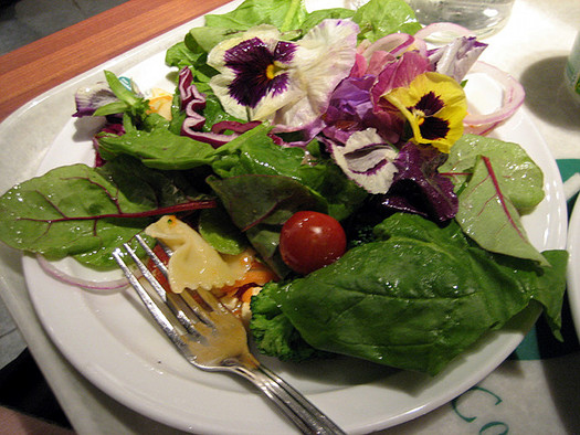 stiefmuetterchen-salat