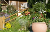 Garten mit Blumen
