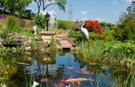 Mein ganz besonderer Tipp für den Teich: Fischtürme