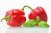Artikelgebend ist die capsicum annuum.