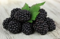 Artikelgebend sind Brombeeren und dessen Vielfalt.