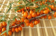 Artikelgebend ist die Blüte von Sanddornbeeren.