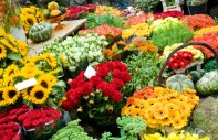 Blumenknigge: Für jeden Anlass die passenden Blumen