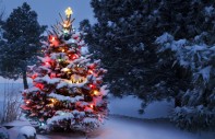Weihnachtsbaum