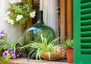 Gärtnern im Wohnzimmer: Einen Flaschengarten anlegen