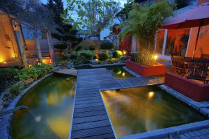 Schwimmteich oder Living Pool – die Qual der Wahl im Garten