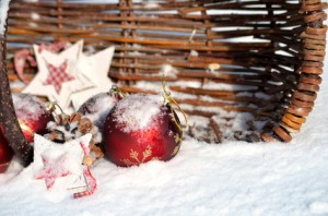 Der Artikel inspiriert einen Adventskalender für den Garten zu basteln. 