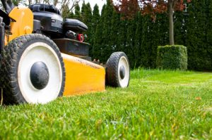 Artikelgebend sind Tipps zur Rasenpflege im Frühling. 