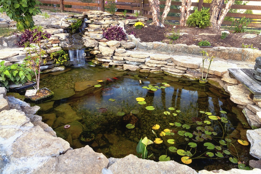 Jetzt aber schnell: So schützen Sie Ihren Gartenteich vor dem ersten Frost