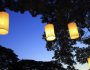 Lichterfest im eigenen Garten: Beleuchtete Pflanzgefäße und Co